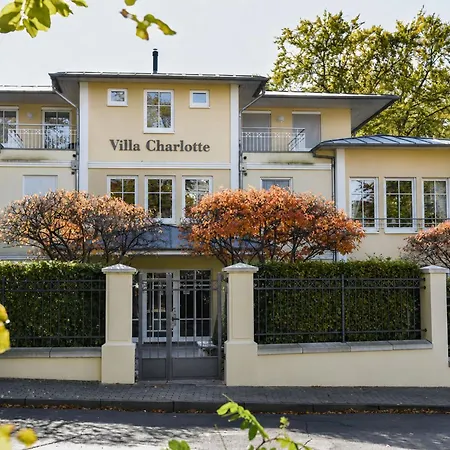 Charlotte 24 *